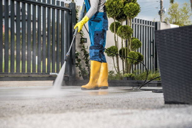 Best Deck Cleaning Services  in Sibley, IA