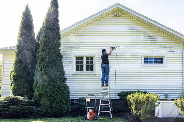 Best Pressure Washing Brick  in Sibley, IA