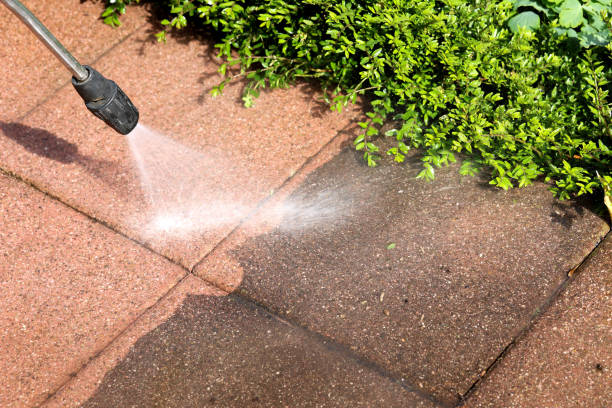 Best Concrete Pressure Washing  in Sibley, IA