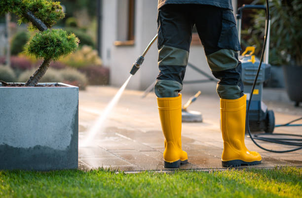 Best Concrete Pressure Washing  in Sibley, IA
